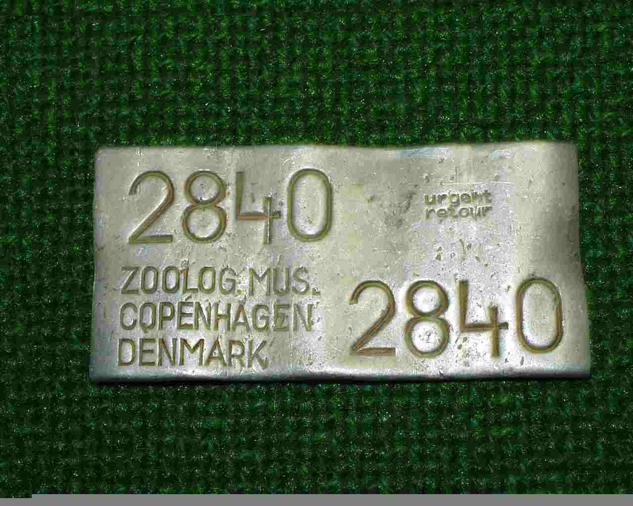 Copenhagen%202840.jpg